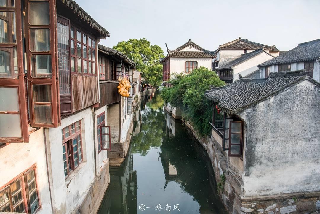 饥饿的哈利